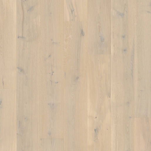 W4069-03787_Topshot-CHENE DES MERS.jpg